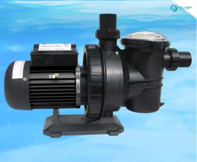 Máy bơm bể bơi “SCUS” Series Pump